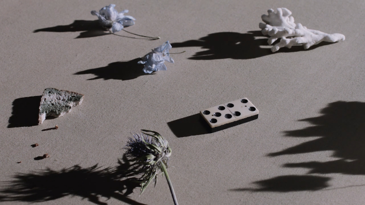 Fiori secchi e una tessera del domino